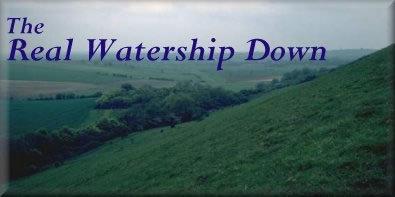 The Real Watership Down